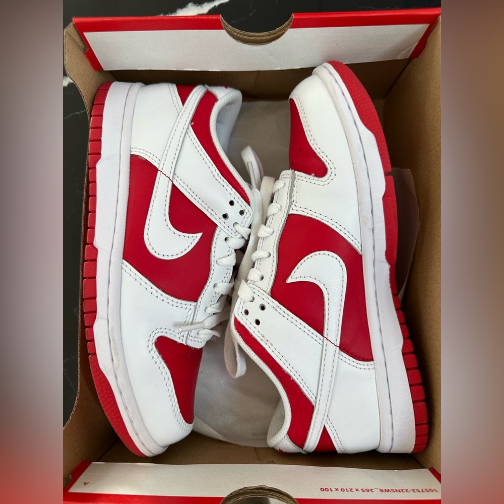 Nike Low Dunk- Youth size 5